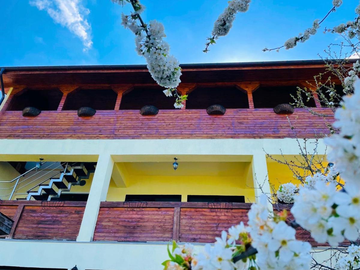 Casa Camelia Hotell Dubova Exteriör bild